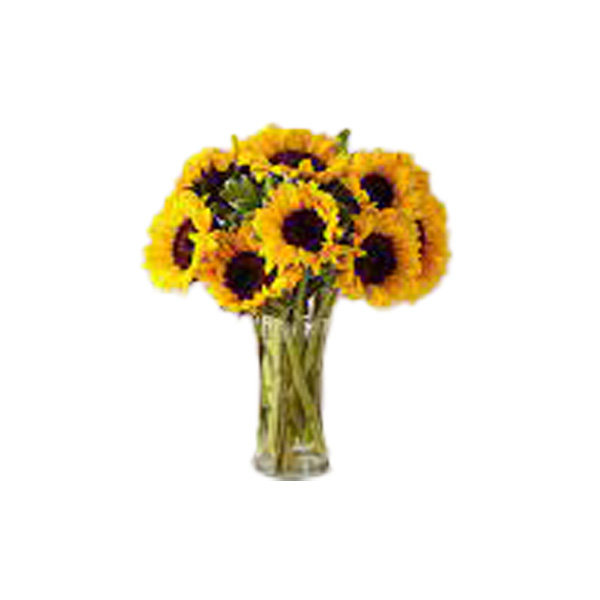 sunflower-in-a-vase-